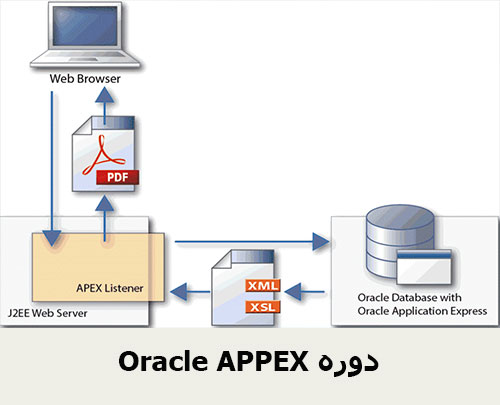 Oracle APPEX دوره