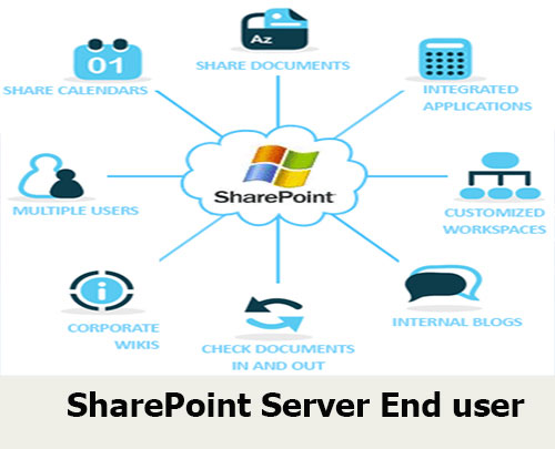 SharePoint Server End user